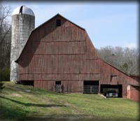 Beautiful Old Barn