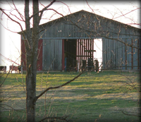 Beautiful Old Barn