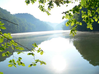 God's work!